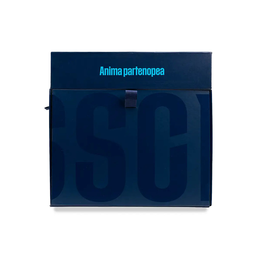 Calendario dell’Avvento 2026 SSC Napoli – Gadget esclusivi su licenza ufficiale